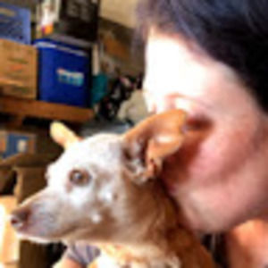 Meet your Posher, Bonnie